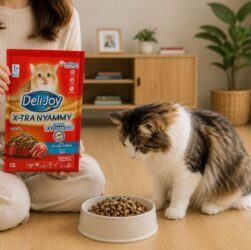 Dry Food Kucing yang Bagus untuk Kesehatan dan Nutrisi Anabul Dry Food Kucing yang Bagus untuk Kesehatan dan Nutrisi Anabul