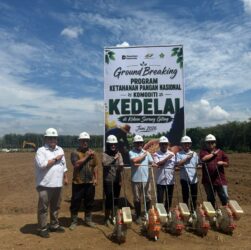 PTPN IV PalmCo Matangkan Pilot Project Kedelai Dukung Percepatan Swasembada Pangan Nasional PTPN IV PalmCo Matangkan Pilot Project Kedelai Dukung Percepatan Swasembada Pangan Nasional
