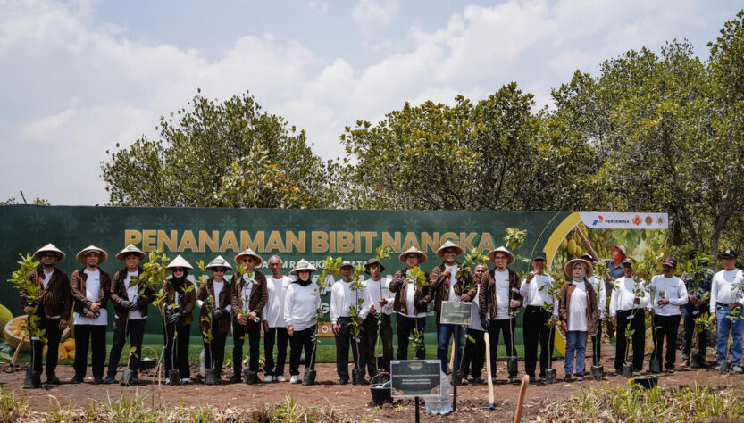 Perkuat Ketahanan Pangan dan Ekonomi Desa, Pertamina Gelar Panen Raya Nangka di Hutan Wanaboga Gunungkidul Perkuat Ketahanan Pangan dan Ekonomi Desa, Pertamina Gelar Panen Raya Nangka di Hutan Wanaboga Gunungkidul