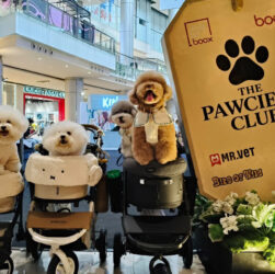 The Pawciety Club Bawa Dunia Dog Lovers ke PIK Avenue